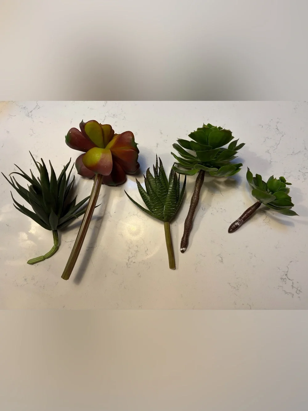 Set of Five Artificial Succulent Picks in Green and Red - Home Accents